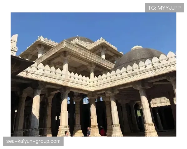 印度投球火力惊人,连续零封对手,印度踢球 印度投球火力惊人,连续零封对手,印度踢球